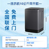 Yangzi government subsidy of 15%, fully automatic washing machine with first-level energy efficiency, household large-capacity washing and drying integrated small pulsator, trade-in artifact for rental housing and dormitories, 10KG rental artifact, first-class energy efficiency + blue light antibacterial air-drying pulsator