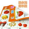 Hairun Sunshine Preschool Education Wall Charts (17 pictures in total) Chinese and English bilingual early education enlightenment toys stickers with animal pinyin vegetables and fruits to recognize numbers extracurricular books extracurricular independent reading holiday reading