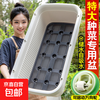 Extra large balcony vegetable pots, special household vegetable pots, rectangular vegetable planting pots, plastic outdoor garden flower boxes, rice white large vegetable pots, wheeled models, self-absorbing 1 set