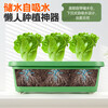 Extra large balcony vegetable pots, special household vegetable pots, rectangular vegetable planting pots, plastic outdoor garden flower boxes, rice white large vegetable pots, wheeled models, self-absorbing 1 set
