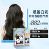Bigen Meiyuan Xuanruo Hair Recovery Rapid Black Hair Cream 160g (Brown Black 882s) Domestic Added Plant Extract Cover White