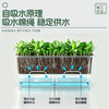 Devo various vegetable pots rectangular planting box plastic thickened automatic water-absorbing flower pot vegetable planting box vegetable planting basin large
