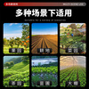 Cottage diesel lawn mower four-wheel drive micro tiller lawn mower gasoline rotary tiller trencher agricultural weeder cultivator Chongqing gasoline two-wheel drive manual machine width 30 knife width 20 + weeding knife + furrow plow