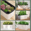 Devo various vegetable pots rectangular planting box plastic thickened automatic water-absorbing flower pot vegetable planting box vegetable planting basin large