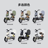 Tailing Electric Bike Pickup in Store Chaoying Electric Bike New National Standard Can Be Licensed Battery Long Range Adult Transportation Please Go to the Store to Buy Colors