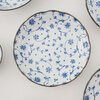 Minoware imported from Japan underglaze colored ceramic bowls and plates 6-piece tableware set