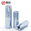 M6-M8-10-12 National standard galvanized internal expansion pipe top explosion implosion gecko flat explosion screw M10 (5 pieces)