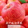 Jingdi Dalochuan apple net weight 7.2 catties single fruit 180g + Shaanxi Red Fuji apple gift box direct from source with free shipping