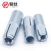 M6-M8-10-12 National standard galvanized internal expansion pipe top explosion implosion gecko flat explosion screw M10 (5 pieces)
