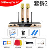 Qisheng/Qisheng Wireless Microphone One to Two Home Singing KTV Stage Performance Family K Song Karaoke Wedding Conference Metal U-segment FM Standard Edition (Set 1)