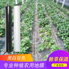 Nongyumeng agricultural film planting mulch film home dust-proof film plastic cloth plastic film disposable white film white film 1.2 meters wide * 150 meters 4.9 pounds