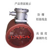 BZF/GBFBG7190100132160180225315 explosion-proof variable frequency speed motor ventilator BG-355/380V with shell