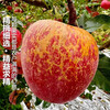 Jingmi Sichuan Daliangshan Ugly Apple, 3kg net, single fruit 70mm+, fresh fruit rock candy, straight from the source