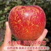Jingmi Sichuan Daliangshan Ugly Apple, 3kg net, single fruit 70mm+, fresh fruit rock candy, straight from the source