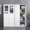 Lixuan File Cabinet Iron Cabinet Steel Office Cabinet Finance Office File Cabinet Iron Data Cabinet Short Cabinet Locked Voucher Cabinet Large Equipment File Cabinet Thickened