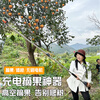 Jiehong's fruit-picking artifact, telescopic high-branch shears, high-altitude shears for gardens, special for picking lychees, longans, toon, fruit-picking scissors, lithium-ion fruit-picking pruning shears 130-2 meters