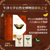 China National Geographic Illustrated Book of Flora and Fauna Butterfly Bible Plant Bible Officially Authorized by the Museum Plant Butterfly Flower Atlas Butterfly Bible + Plant Bible (two-volume set)