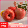 Shopkeeper Wang Yantai Fuji Apple Shandong Red Fuji Fresh Fruit 3/4.5 catties non-super large fruit 4.5 catties net weight single fruit 75-80mm