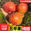25-year-old Yunnan Zhaotong Ugly Apple Rock Candy Heart Authentic Gift Box Fresh Apple Fruit Seasonal Whole Box Flat Fruit 9 Jin Packed Large Fruit (80-90mm)