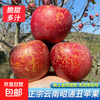 Yunnan Zhaotong rock candy heart ugly apple fruit fresh seasonal whole box Fuji red dew apple crispy sweet Mid-Autumn Festival selected fruit single fruit 50-60mm 2 catties trial pack
