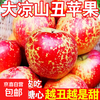 Authentic Daliang Mountain Ugly Apple Rock Candy Heart Fresh Seasonal Fruit Salt Source Sichuan Red Fuji Flat Fruit Full Box Free Shipping 85mm-90mm Extra Large Fruit Supermarket Quality 3 Jin