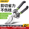 Deli pruning scissors, flower pruners, fruit tree gardening pruners, labor-saving pruning scissors, flower pruners, 8 inches DL2778