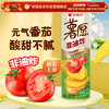 ORION Potato Chips Fresh Tomato Flavor 104g Snack Potato Chips Non-fried Puffed Food Snack