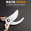 Jingruifeng gardening shears, fruit tree tools, pruning shears, thick branch shears, flower pruning scissors, flower and tree pruning tools, household multifunctional, bronze handle