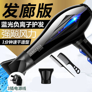 German hair salon hair dryer household high power 3000w barber shop special high wind negative ion hair care dryer life accessories mi bright black frequency conversion 15800 high wind 3