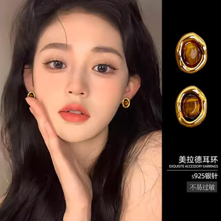 Lnieer s925 silver maillard tiger eye stone earrings women's retro hong kong style autumn and winter earrings 2025 new high-end earrings tiger eye stone earrings s925 silver needle