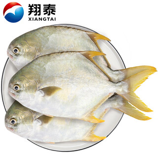 Xiangtai hainan deep sea golden pomfret 2.4jin jin is equal to 0.5kg/3-4 pieces net weight bap new year's day fresh fish seafood and aquatic products