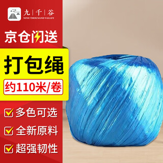 Jiuqiangu packing rope, bundling and packing plastic rope, nylon packing rope, packing belt, warehouse packaging rope, grass ball rope, thickened, wear-resistant, not hurtful to hands, blue 150g/roll about 110 meters