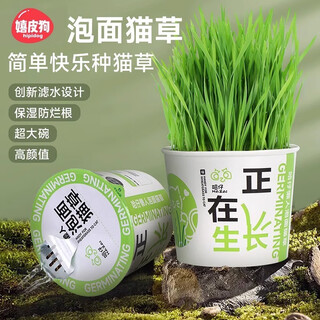 Hippie dog (hipidog) cat grass potted wheat seed nursery tray, lazy hydroponic hair ball, adult cat and kitten snacks, cat supplies, instant noodle cat grass