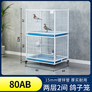 鸽笼加粗加密防老鼠黄鼠狼公棚配对笼信鸽赛鸽观察笼家用繁育鸽笼 80款AB 双层 北京   天津   河北