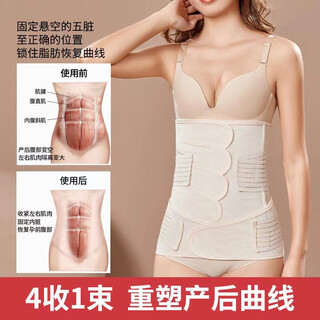 2-piece set of postpartum abdominal belt for postpartum women, confinement repair waist restraint belt, planing vaginal birth, caesarean section abdominal belt, skin color, abdominal belt + pelvic belt, regular style xl, labor period 141-160jin jin equals 0.5 kg