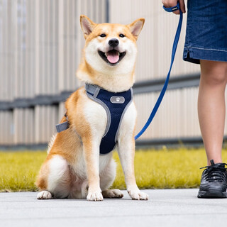 Peite pet dog leash medium and large dog leash leash vest reflective harness shiba inu corgi dog leash dark blue harness (+1.5 meter leash) m (recommended 12-32 jin jin equals 0.5 kg)