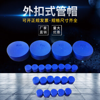 Deer-colored steel pipe plastic pipe cap plug round dust-proof thread blue steel bar protective sleeve pipe inner plug head plug pe inner diameter 13.7mm (pack of 10)