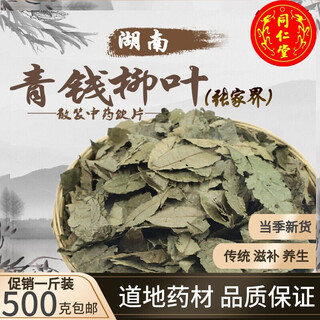 Beijing tongrentang qingqianliuye zhangjiajie selected qingqianliu original leaf ancient tree qingqianliu health tea 5 500g