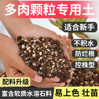 Flower master succulent nutritional soil special granular soil succulent soil potted planting soil for seedlings and old piles breathable soil high-end version succulent soil 10jin jin equals 0.5kg does not contain imported stones