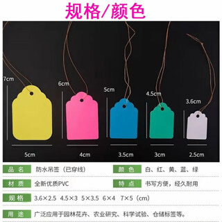 Benxin agricultural fruit tree plant tag with rope gardening tag waterproof plastic tag succulent tag flower tag 3.6 2.5 blue 100 sheets