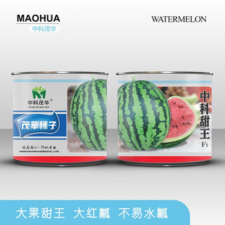Zhongke maohua fruit and vegetable seeds zhongke sweet king watermelon seeds angfei legend sweet king hybrid high round sweet king big red flesh zhongke sweet king 100g/box