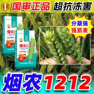 Новые оригинальные семена пшеницы tobacco farmer 1212, устойчивые к болезням, полеганию и морозостойкости Академия сельскохозяйственных наук, оригинальные оригинальные семена, новые спотовые семена высокоурожайной пшеницы tobacco farmer 1212, оригинальные семена 30jin jin, равные 0,5 кг + агент для покрытия семян
