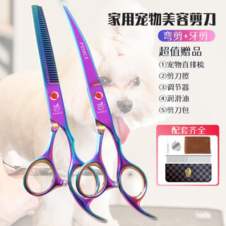 Black bird pet scissors home dog hair curved scissors trimming shearing scissors pet grooming scissors tool set seven colors (dental scissors + curved scissors)