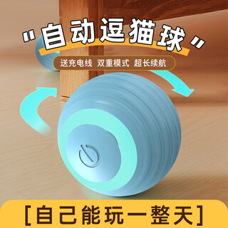 欢宠网猫玩具猫咪自动逗猫球电动自嗨解闷神器磨牙耐咬猫猫小猫幼猫宠物