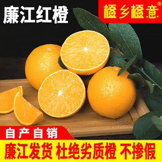 Orange township orange authentic lianjiang red oranges hongjiang farm oranges guangdong zhanjiang specialty seasonal freshly picked red light oranges red heart orange gift box lianjiang red oranges 5jin jin is equal to 0.5kg ordinary fruit