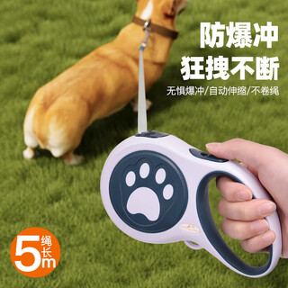 Gasgoo dog leash automatic retractable dog walking cat small and medium-sized dogs teddy corgi large dog pet supplies