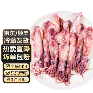 Aiwei winnie sea rabbit full of seeds, sea rabbits with seeds, fresh live cooked frozen pen tube fish, large cuttlefish, soft-footed seafood hot pot bbq, sea rabbits 500g*2 bags 1kg (net weight)