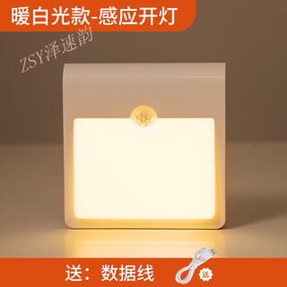 泽速韵智能人体感应小夜灯充电式声控灯过道楼梯楼道走廊无线入户门口起 1个装【暖白光】充电+2种亮度