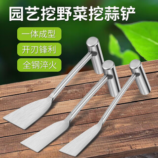 正齐（ZHENGQI）不锈钢铲子蒜铲挖荠菜园艺农用蒜苗野菜神器挖土种菜专用工具户外 【整体不锈钢】小号-刃宽3.5cm