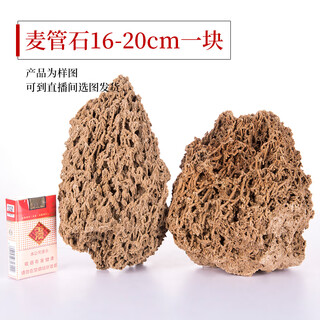 Shiguang xiaozhan boutique gold straw stone natural water-absorbing stone shangshui stone original rockery bonsai stone plant fossil small ornaments
